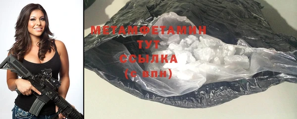 индика Ельня