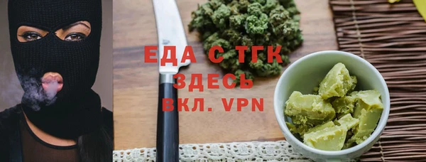 индика Ельня