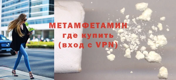 индика Ельня