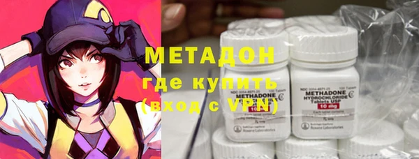 индика Ельня