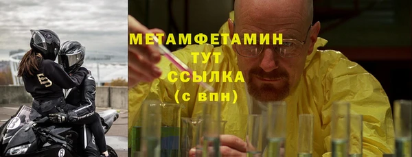 индика Ельня