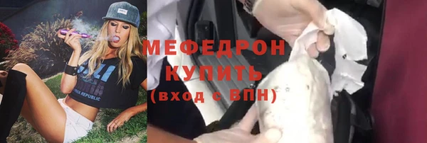 индика Ельня
