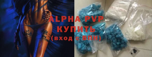 индика Ельня