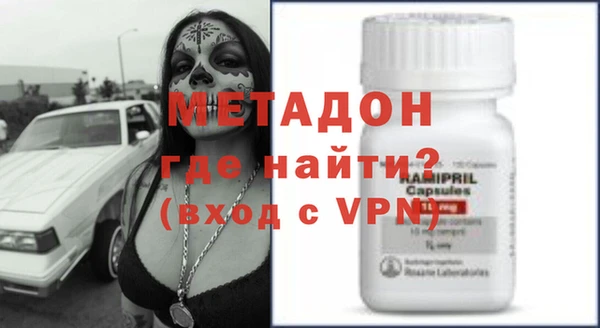 индика Ельня