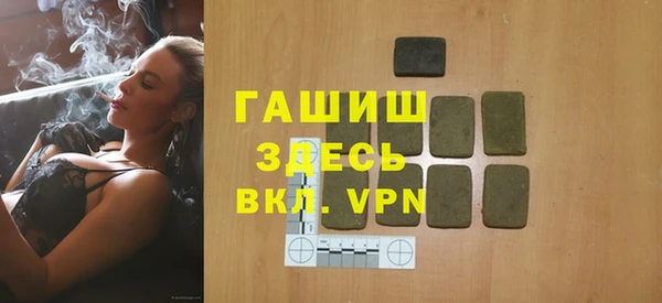 индика Ельня