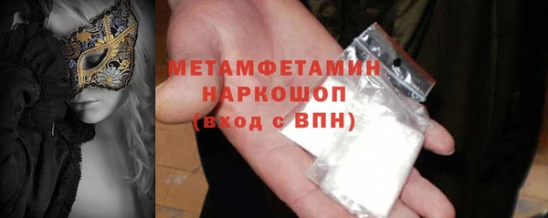 индика Ельня