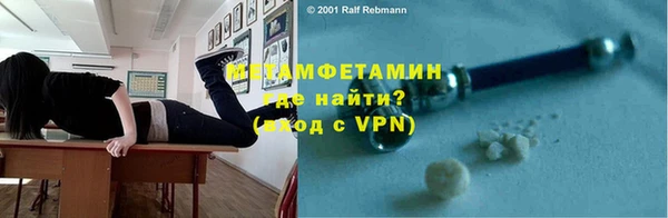 индика Ельня