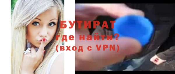 индика Ельня