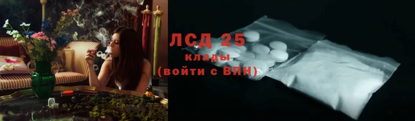 индика Ельня