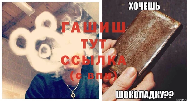 индика Ельня