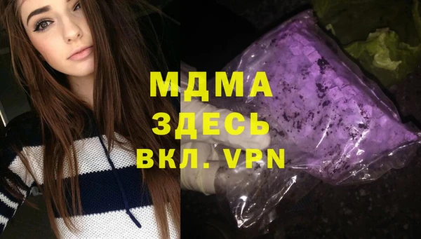 индика Ельня