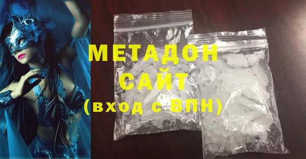 индика Ельня