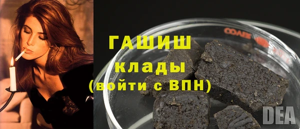 индика Ельня
