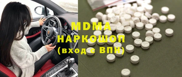 индика Ельня