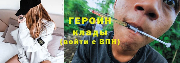 индика Ельня
