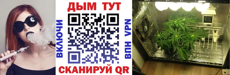 Купить закладки  Татарск  Марихуана семена 